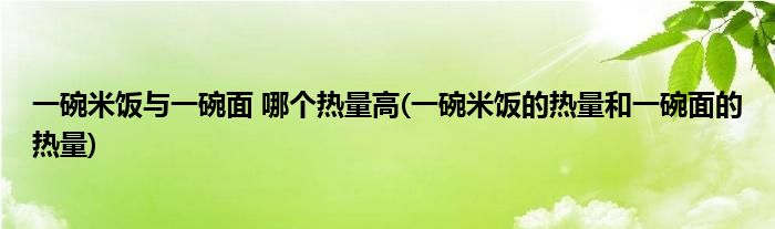 一碗米饭与一碗面 哪个热量高(一碗米饭的热量和一碗面的热量)