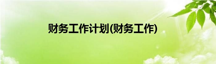 财务工作计划(财务工作)