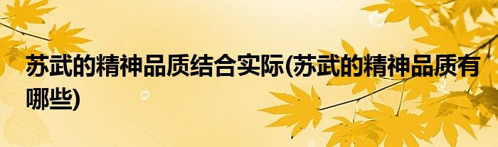 苏武的精神品质结合实际(苏武的精神品质有哪些)