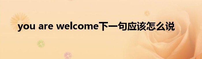 you are welcome下一句应该怎么说