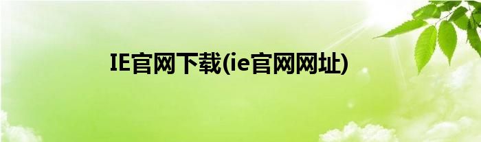 IE官网下载(ie官网网址)