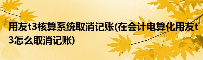 用友t3核算系统取消记账(在会计电算化用友t3怎么取消记账)