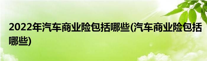 2022年汽车商业险包括哪些(汽车商业险包括哪些)