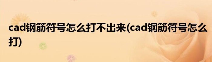 cad钢筋符号怎么打不出来(cad钢筋符号怎么打)