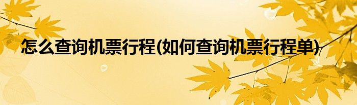 怎么查询机票行程(如何查询机票行程单)