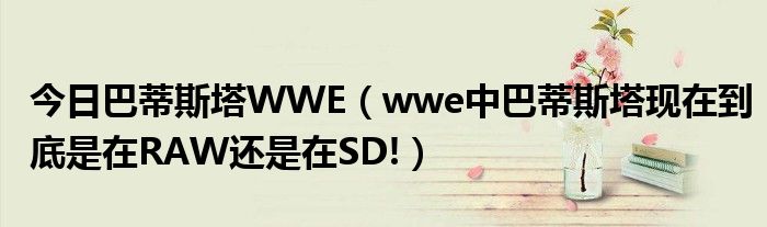 今日巴蒂斯塔WWE（wwe中巴蒂斯塔现在到底是在RAW还是在SD!）