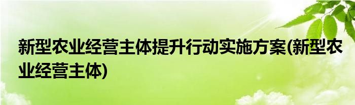 新型农业经营主体提升行动实施方案(新型农业经营主体)