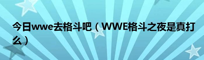 今日wwe去格斗吧（WWE格斗之夜是真打么）