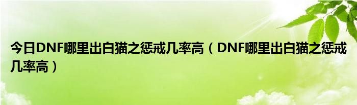 今日DNF哪里出白猫之惩戒几率高（DNF哪里出白猫之惩戒几率高）