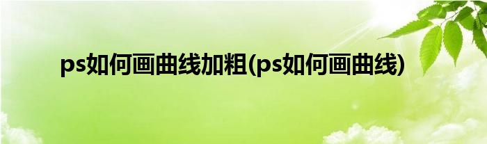 ps如何画曲线加粗(ps如何画曲线)