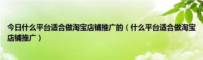 今日什么平台适合做淘宝店铺推广的（什么平台适合做淘宝店铺推广）