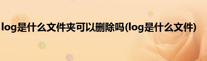 log是什么文件夹可以删除吗(log是什么文件)