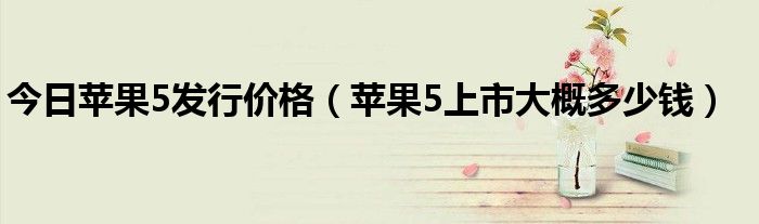 今日苹果5发行价格（苹果5上市大概多少钱）