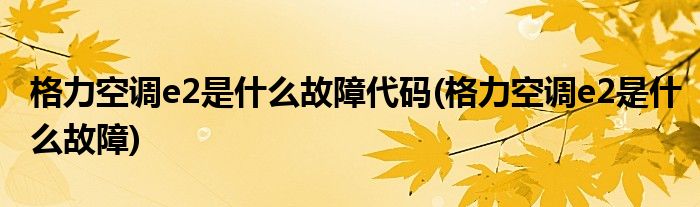 格力空调e2是什么故障代码(格力空调e2是什么故障)