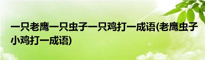 一只老鹰一只虫子一只鸡打一成语(老鹰虫子小鸡打一成语)