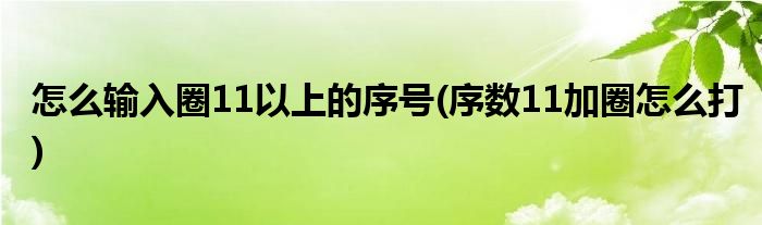 怎么输入圈11以上的序号(序数11加圈怎么打)