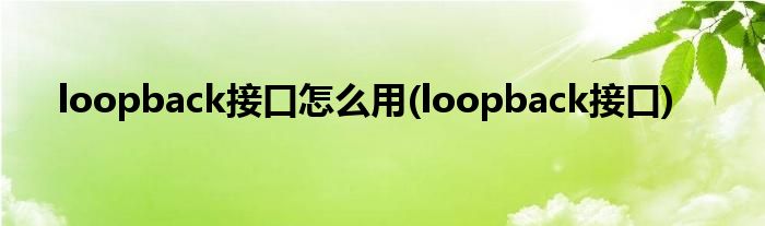 loopback接口怎么用(loopback接口)