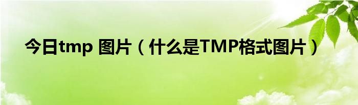 今日tmp 图片（什么是TMP格式图片）