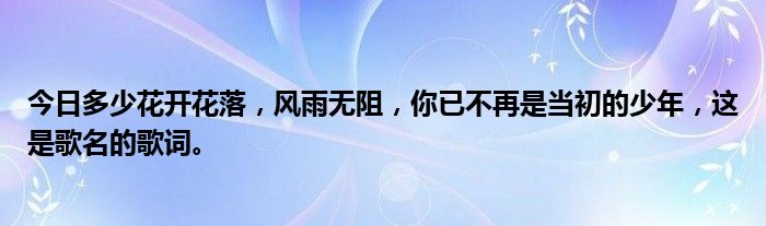 今日多少花开花落，风雨无阻，你已不再是当初的少年，这是歌名的歌词。