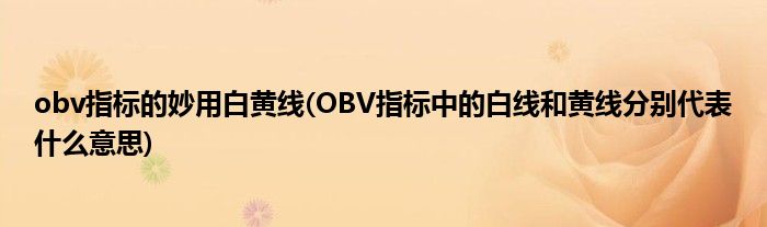 obv指标的妙用白黄线(OBV指标中的白线和黄线分别代表什么意思)