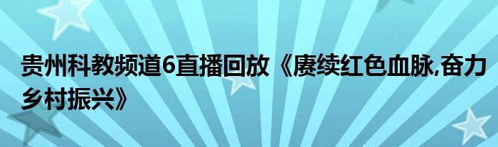 贵州科教频道6直播回放《赓续红色血脉,奋力乡村振兴》