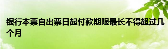 银行本票自出票日起付款期限最长不得超过几个月