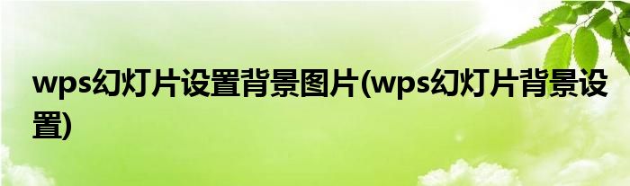 wps幻灯片设置背景图片(wps幻灯片背景设置)