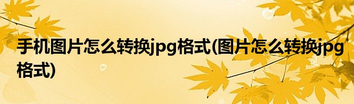 手机图片怎么转换jpg格式(图片怎么转换jpg格式)