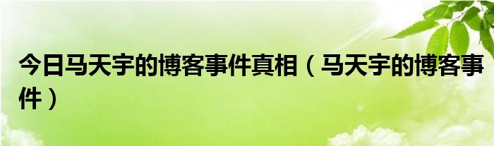 今日马天宇的博客事件真相（马天宇的博客事件）