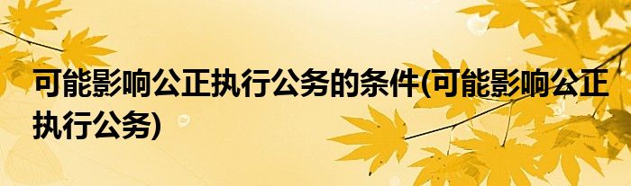 可能影响公正执行公务的条件(可能影响公正执行公务)