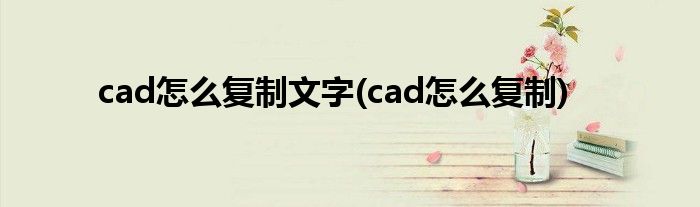 cad怎么复制文字(cad怎么复制)