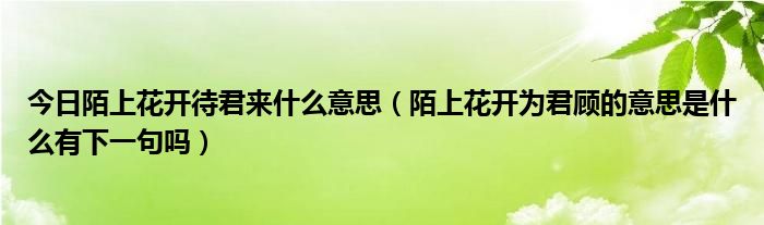 今日陌上花开待君来什么意思（陌上花开为君顾的意思是什么有下一句吗）