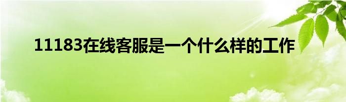 11183在线客服是一个什么样的工作