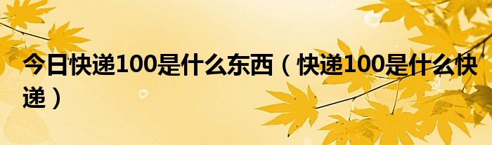 今日快递100是什么东西（快递100是什么快递）