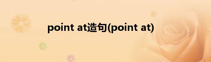 point at造句(point at)