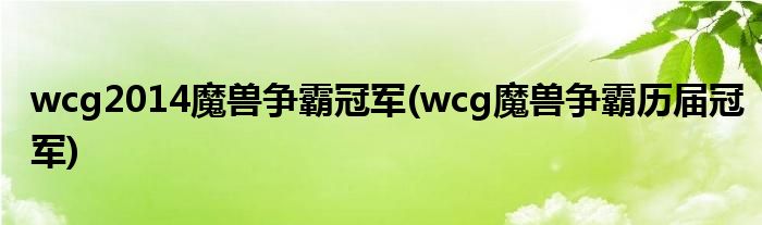 wcg2014魔兽争霸冠军(wcg魔兽争霸历届冠军)