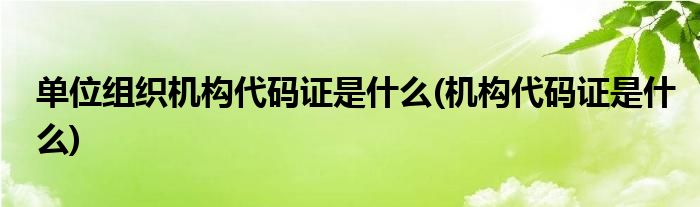 单位组织机构代码证是什么(机构代码证是什么)