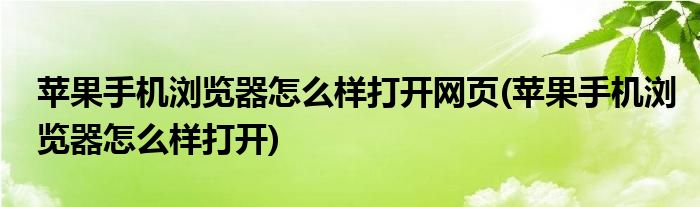 苹果手机浏览器怎么样打开网页(苹果手机浏览器怎么样打开)