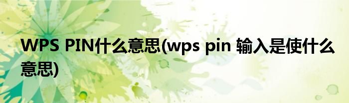 WPS PIN什么意思(wps pin 输入是使什么意思)