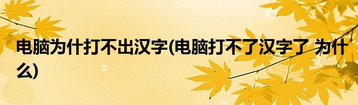 电脑为什打不出汉字(电脑打不了汉字了 为什么)