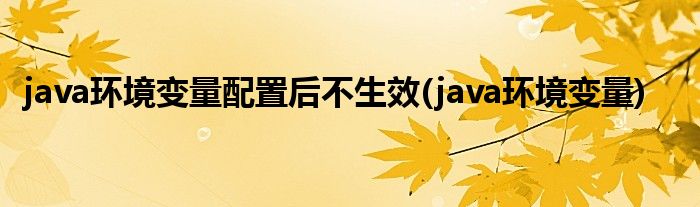 java环境变量配置后不生效(java环境变量)