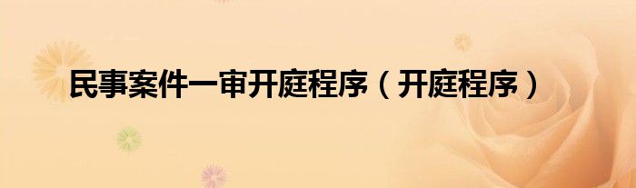 民事案件一审开庭程序（开庭程序）