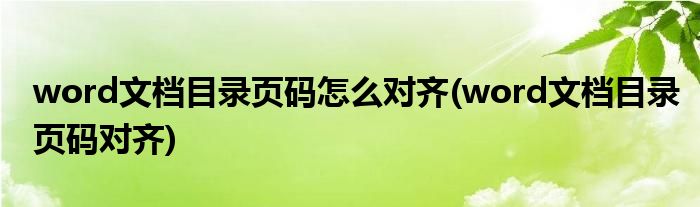 word文档目录页码怎么对齐(word文档目录页码对齐)