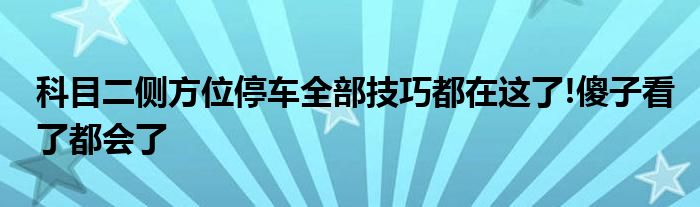 科目二侧方位停车全部技巧都在这了!傻子看了都会了