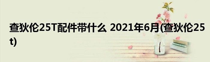 查狄伦25T配件带什么 2021年6月(查狄伦25t)