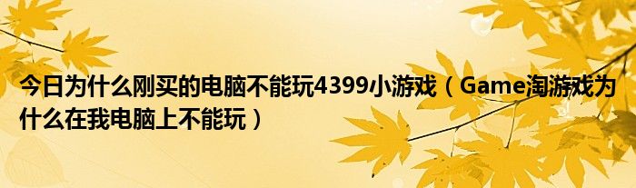 今日为什么刚买的电脑不能玩4399小游戏（Game淘游戏为什么在我电脑上不能玩）