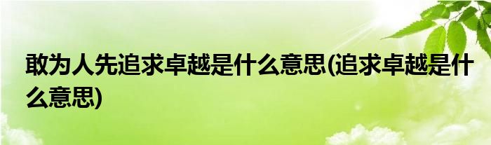 敢为人先追求卓越是什么意思(追求卓越是什么意思)