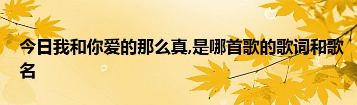 今日我和你爱的那么真,是哪首歌的歌词和歌名