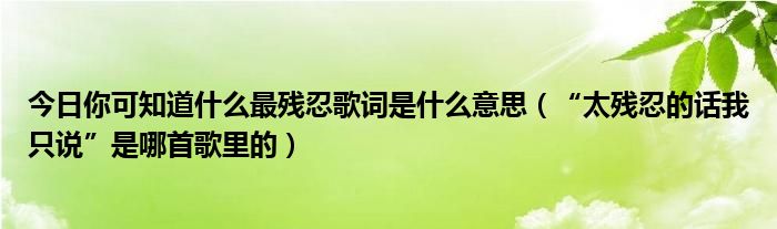 今日你可知道什么最残忍歌词是什么意思（“太残忍的话我只说”是哪首歌里的）