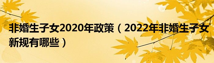 非婚生子女2020年政策（2022年非婚生子女新规有哪些）